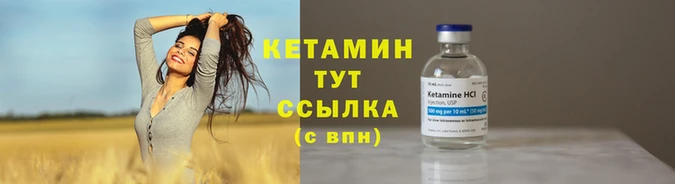 прущие грибы Красноперекопск